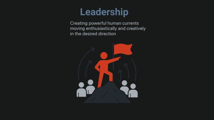 12 Leadership Roles for success